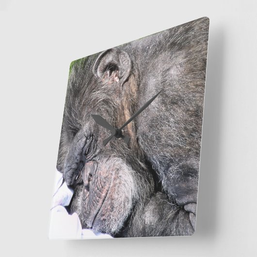 CUTE CHIMPANZEE VIERKANTE KLOK (Hoek)