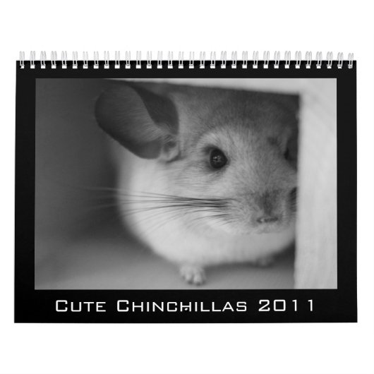 Cute Chinchilla Calendar 2011 Kalender (Hoes)
