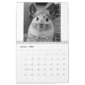 Cute Chinchilla Calendar 2011 Kalender (Jan 2026)