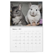 Cute Chinchilla Calendar 2011 Kalender (Feb 2027)