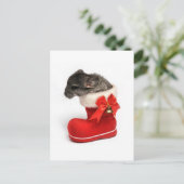Cute Chinchilla in Christmas Stocking Feestdagenkaart (Staand voorkant)