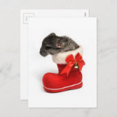Cute Chinchilla in Christmas Stocking Feestdagenkaart (Voorkant / Achterkant)