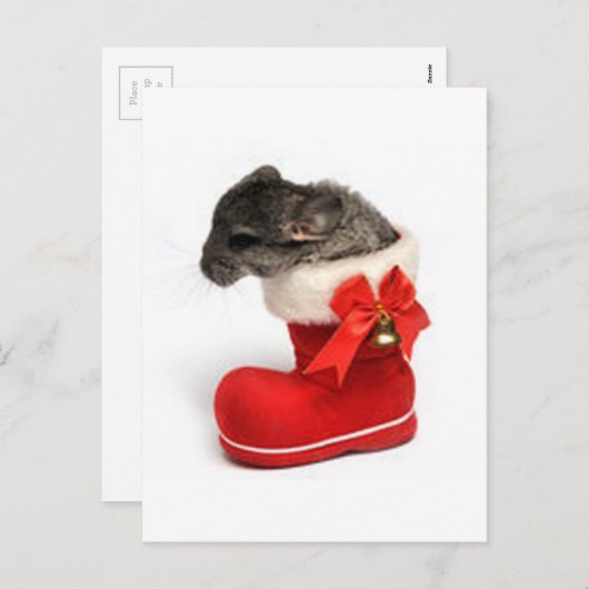 Cute Chinchilla in Christmas Stocking Feestdagenkaart (Voorkant / Achterkant)
