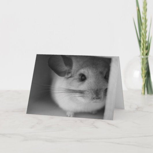Cute Chinchilla Kaart (Voorkant)