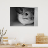 Cute Chinchilla Poster (Keuken)