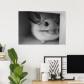 Cute Chinchilla Poster (Thuiskantoor)