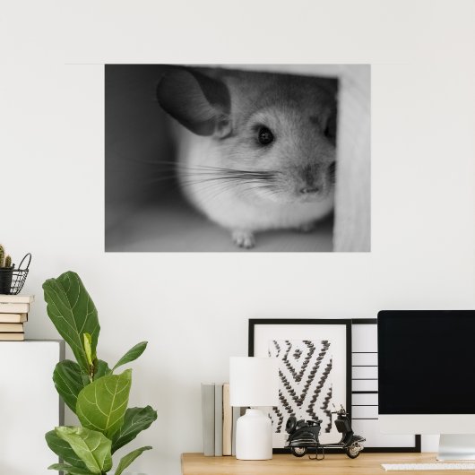 Cute Chinchilla Poster (Thuiskantoor)