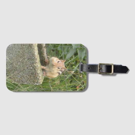 Cute Chipmunk Bagagelabel (Voorkant (horizontaal))