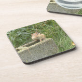 Cute Chipmunk Bier Onderzetter (Linkerzijde)