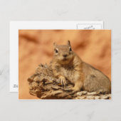 Cute Chipmunk Briefkaart (Voorkant / Achterkant)