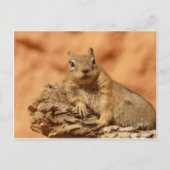 Cute Chipmunk Briefkaart (Voorkant)