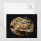 Cute Chipmunk Briefkaart (Voorkant / Achterkant)