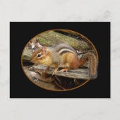 Cute Chipmunk Briefkaart (Voorkant)