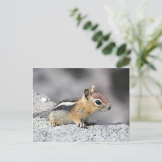 Cute Chipmunk Briefkaart (Staand voorkant)