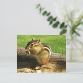 Cute Chipmunk Briefkaart (Staand voorkant)
