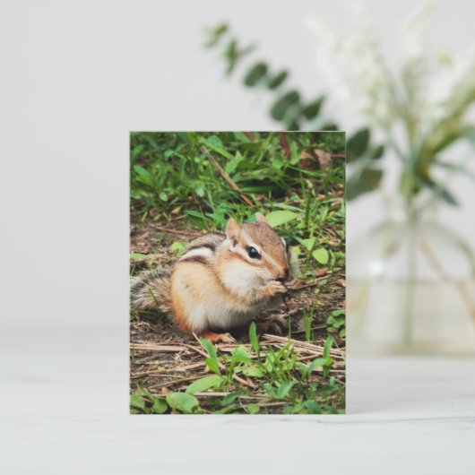 Cute Chipmunk Briefkaart (Staand voorkant)