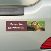 Cute Chipmunk Bumpersticker (Op auto)