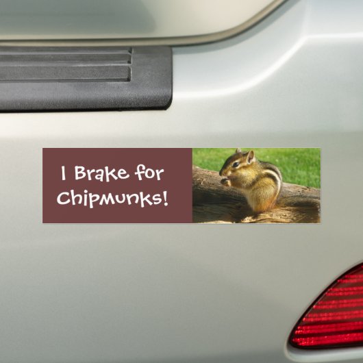 Cute Chipmunk Bumpersticker (Op auto)