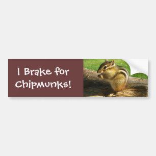 Cute Chipmunk Bumpersticker
