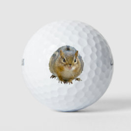 Cute Chipmunk die naar u staart Golfballen