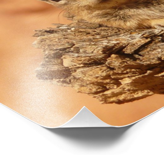 Cute Chipmunk Foto Afdruk (Hoek)