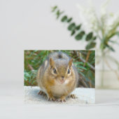 Cute Chipmunk heeft zijn oog op jou Briefkaart (Staand voorkant)