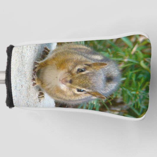 Cute Chipmunk heeft zijn oog op jou Golfheadcover (Voorkant)
