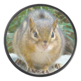 Cute Chipmunk heeft zijn oog op jou Hockey Puck