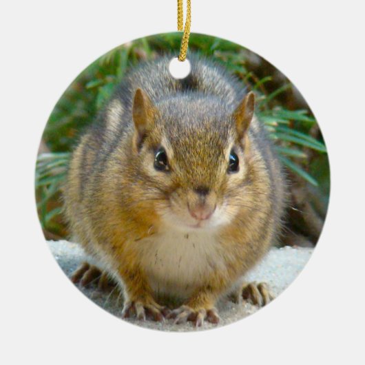Cute Chipmunk heeft zijn oog op jou Keramisch Ornament (Voorkant)
