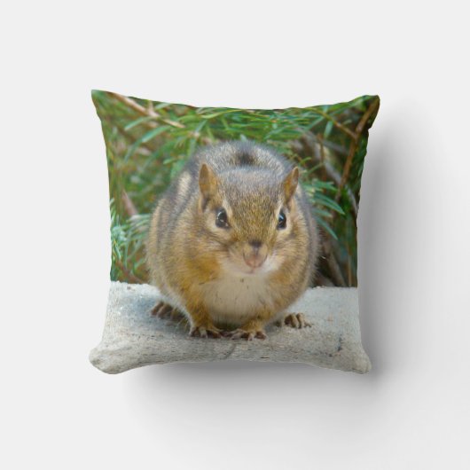 Cute Chipmunk heeft zijn oog op jou Kussen (Voorkant)