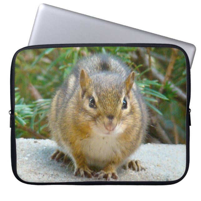 Cute Chipmunk heeft zijn oog op jou Laptop Sleeve (Voorkant)