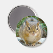 Cute Chipmunk heeft zijn oog op jou Magneet (Voorkant / Achterkant)
