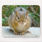 Cute Chipmunk heeft zijn oog op jou Muismat (Voorkant)