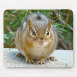 Cute Chipmunk heeft zijn oog op jou Muismat