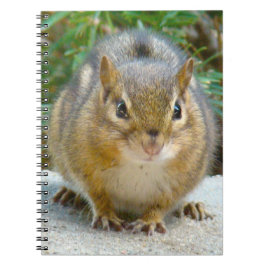 Cute Chipmunk heeft zijn oog op jou Notitieboek