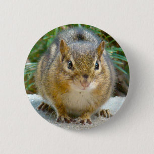 Cute Chipmunk heeft zijn oog op jou Ronde Button 5,7 Cm