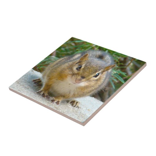 Cute Chipmunk heeft zijn oog op jou Tegeltje (Zijkant)