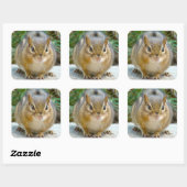 Cute Chipmunk heeft zijn oog op jou Vierkante Sticker (Vel)