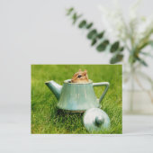Cute Chipmunk in Teapot Briefkaart (Staand voorkant)