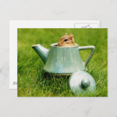 Cute Chipmunk in Teapot Briefkaart (Voorkant / Achterkant)