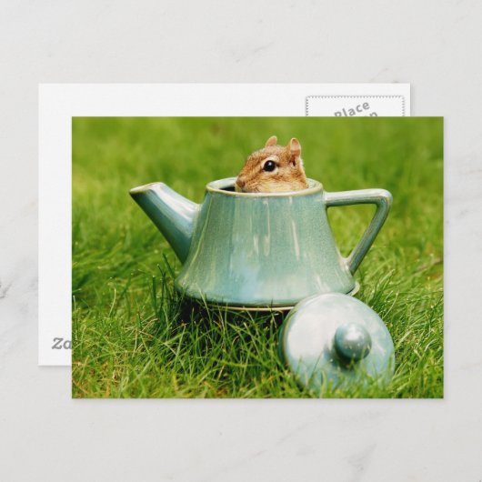 Cute Chipmunk in Teapot Briefkaart (Voorkant / Achterkant)