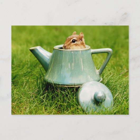Cute Chipmunk in Teapot Briefkaart (Voorkant)