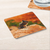 Cute Chipmunk Kartonnen Onderzetters (Schuin)