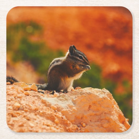 Cute Chipmunk Kartonnen Onderzetters (Voorkant)