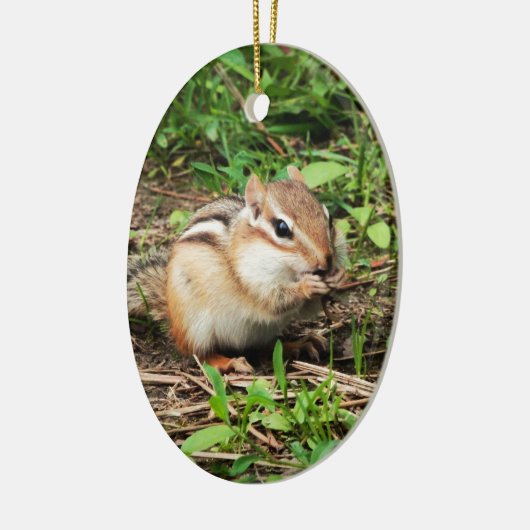 Cute Chipmunk Keramisch Ornament (Links)