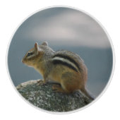 Cute Chipmunk Keramische Knop (Voorkant)