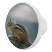 Cute Chipmunk Keramische Knop (Rechts)