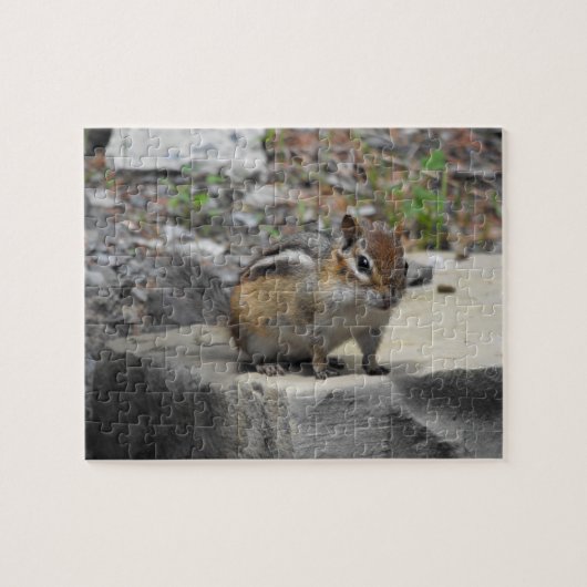 Cute Chipmunk like critter on a Rock Legpuzzel (Horizontaal)