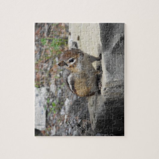 Cute Chipmunk like critter on a Rock Legpuzzel (Verticaal)