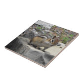 Cute Chipmunk like critter on a Rock Photo Tile Tegeltje (Zijkant)